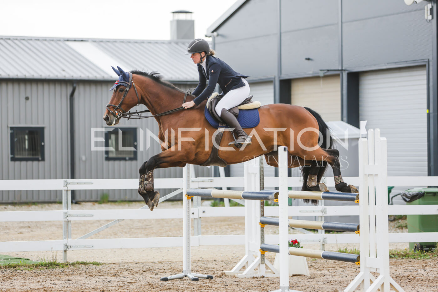 Gramina_Kevad_2026_115_258