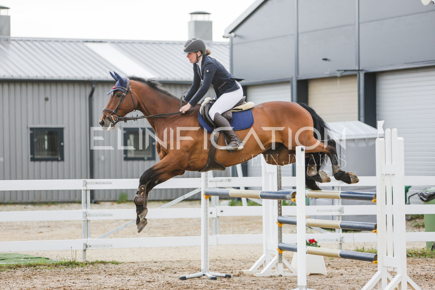 Gramina_Kevad_2026_115_259