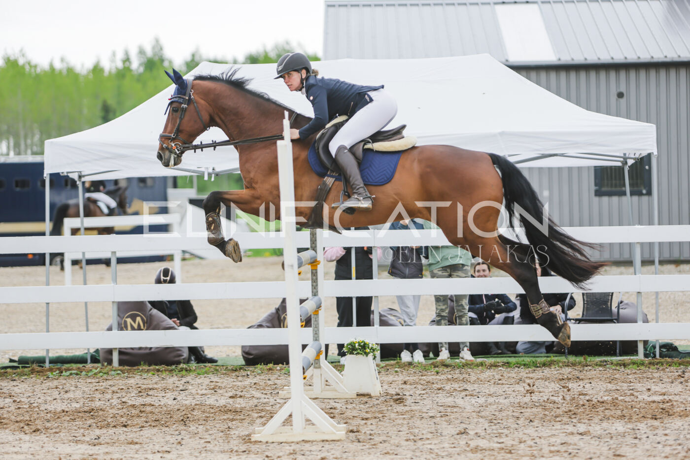 Gramina_Kevad_2026_115_261