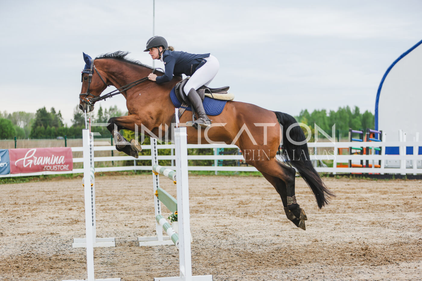 Gramina_Kevad_2026_115_262