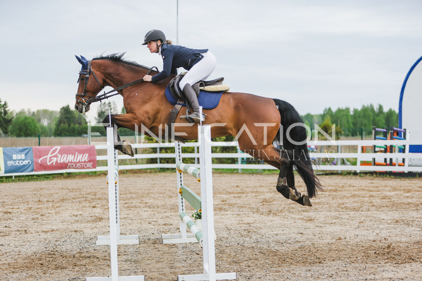 Gramina_Kevad_2026_115_263