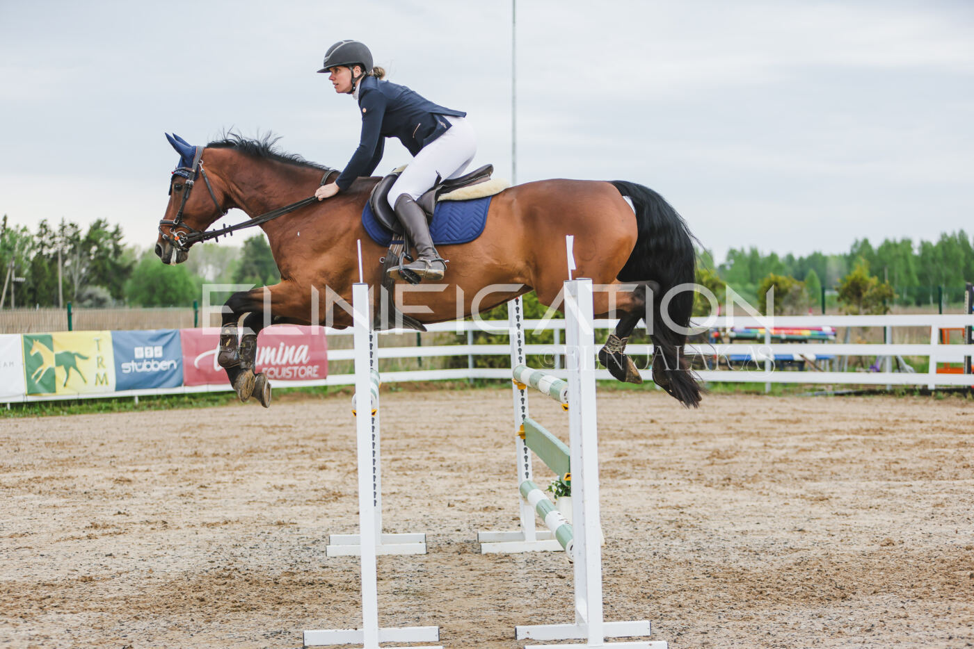 Gramina_Kevad_2026_115_265
