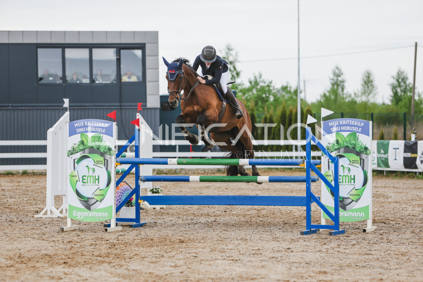 Gramina_Kevad_2026_115_267