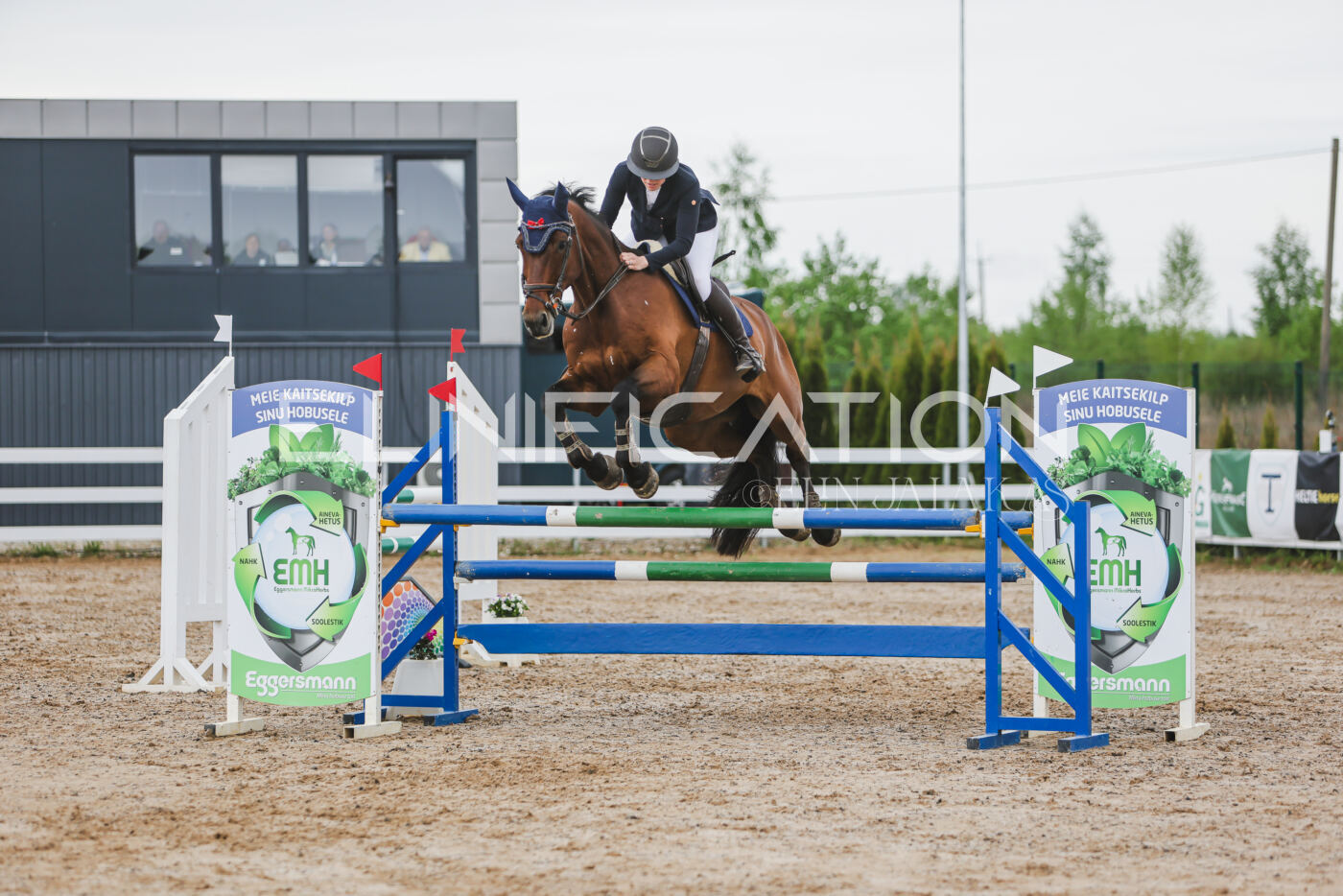 Gramina_Kevad_2026_115_268