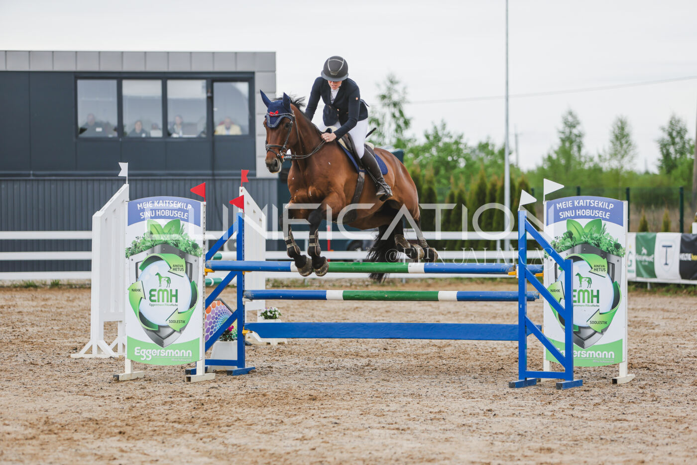 Gramina_Kevad_2026_115_269