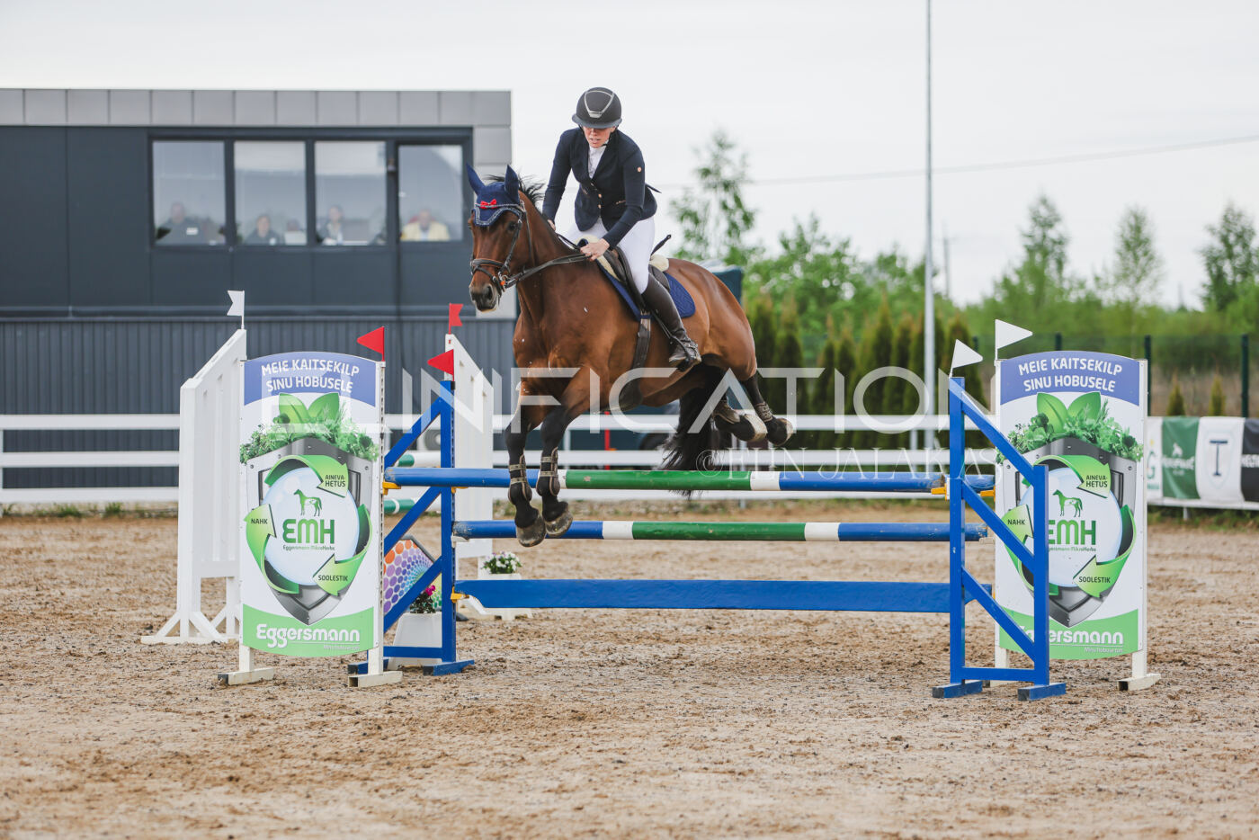 Gramina_Kevad_2026_115_270