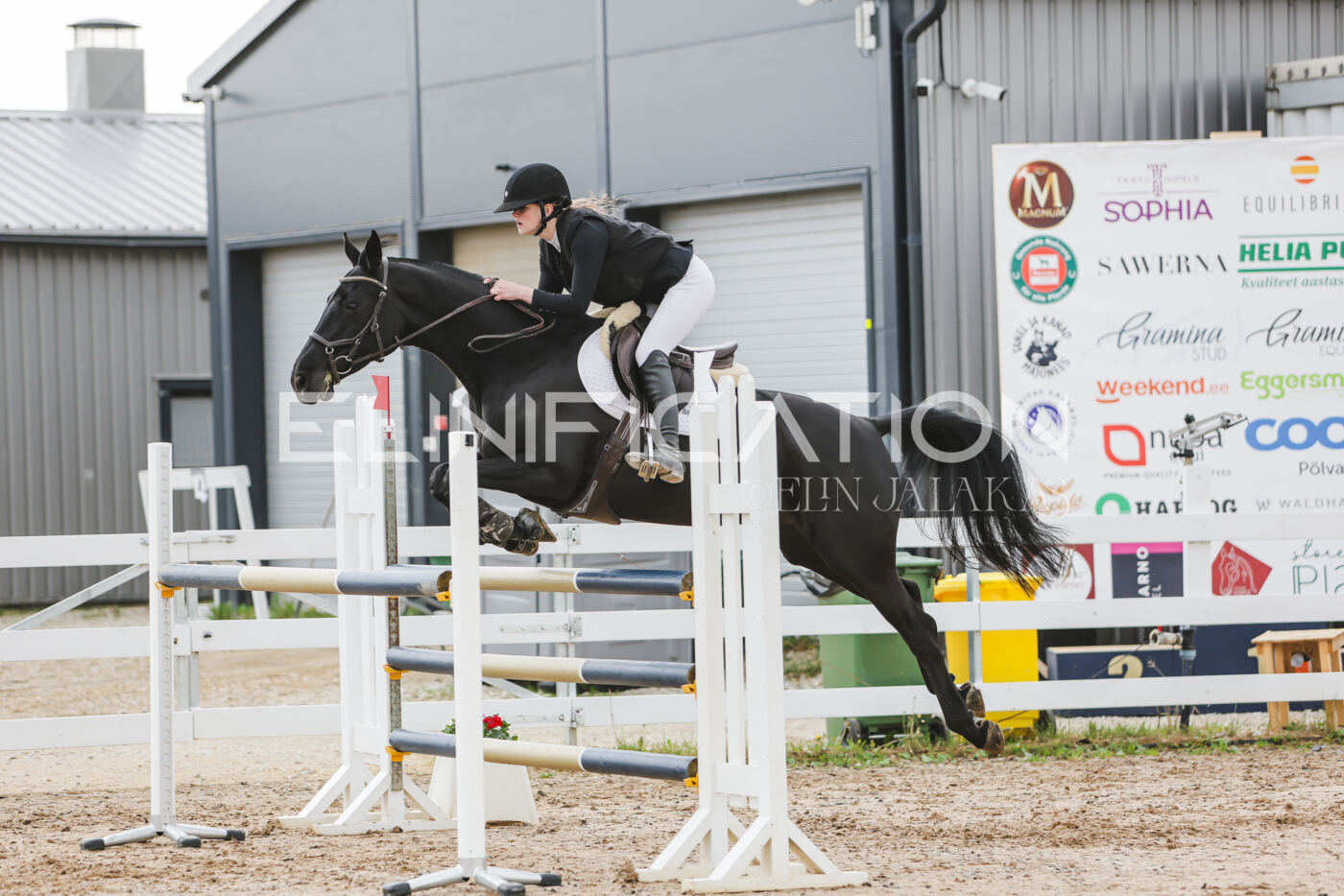 Gramina_Kevad_2026_115_274