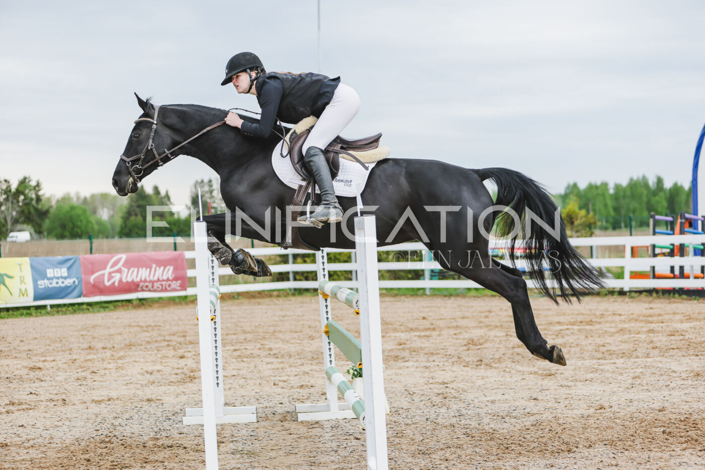 Gramina_Kevad_2026_115_283