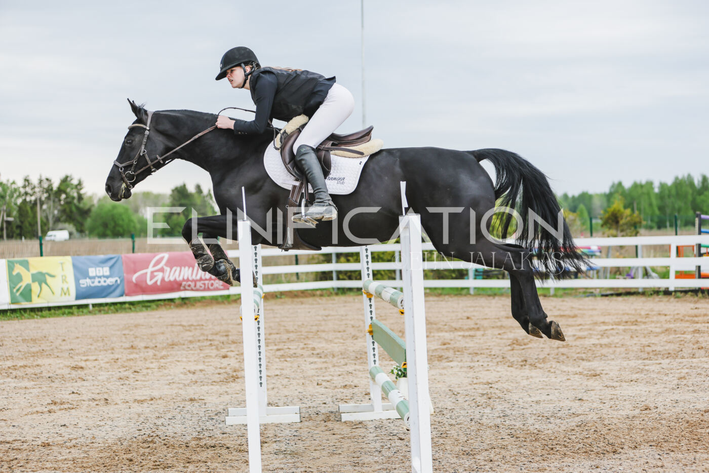 Gramina_Kevad_2026_115_284