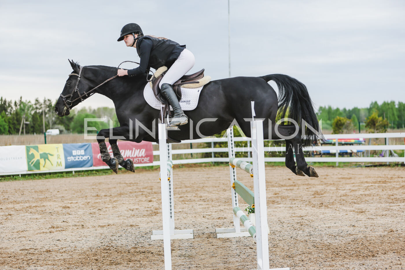 Gramina_Kevad_2026_115_285