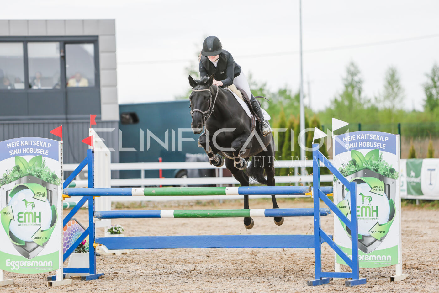 Gramina_Kevad_2026_115_287