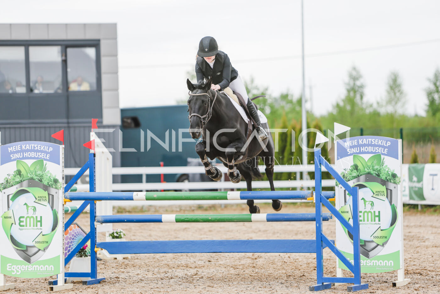 Gramina_Kevad_2026_115_288