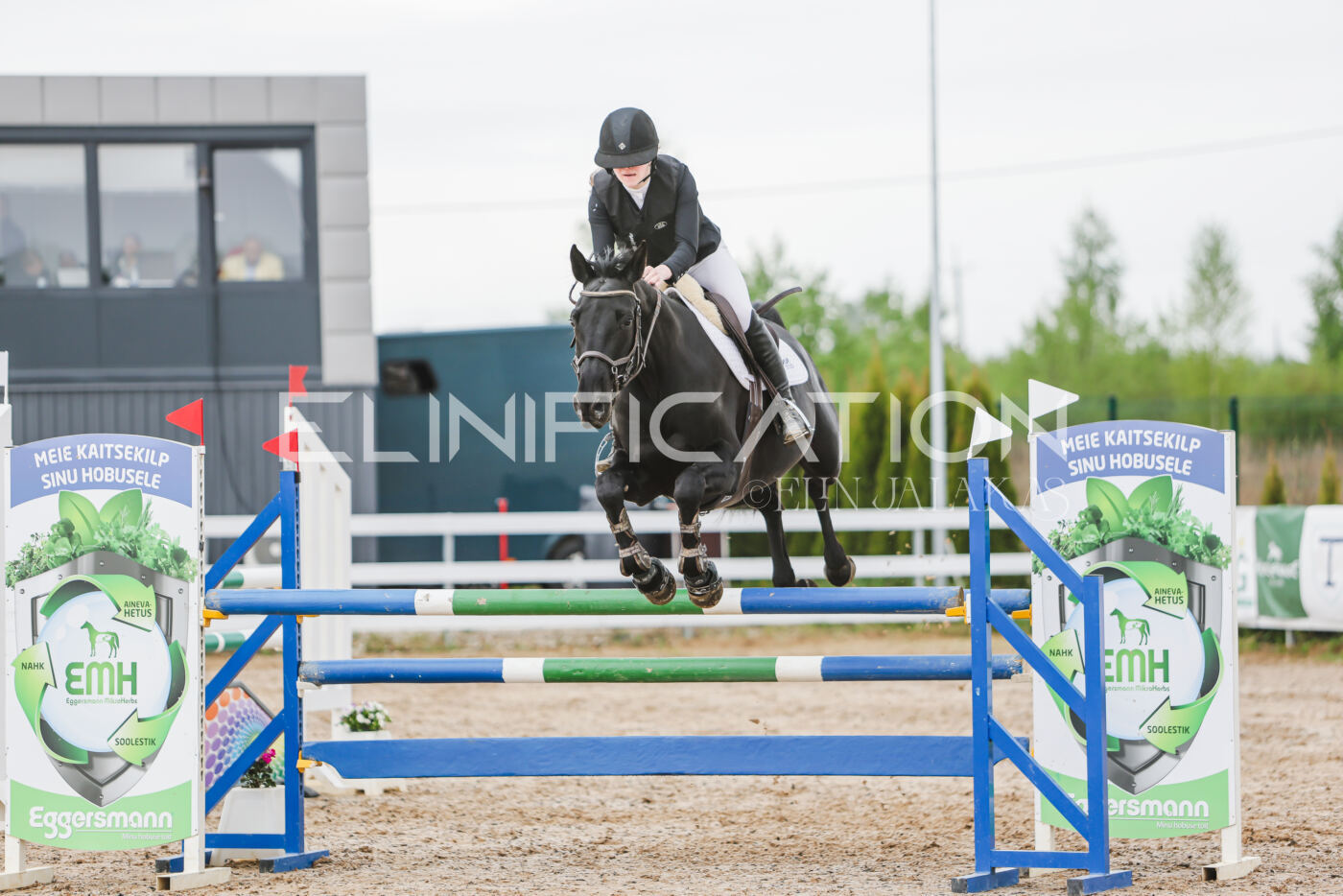 Gramina_Kevad_2026_115_289