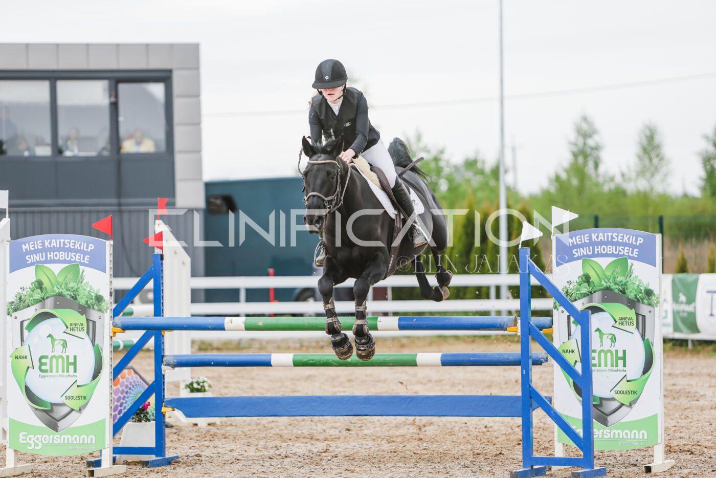 Gramina_Kevad_2026_115_290