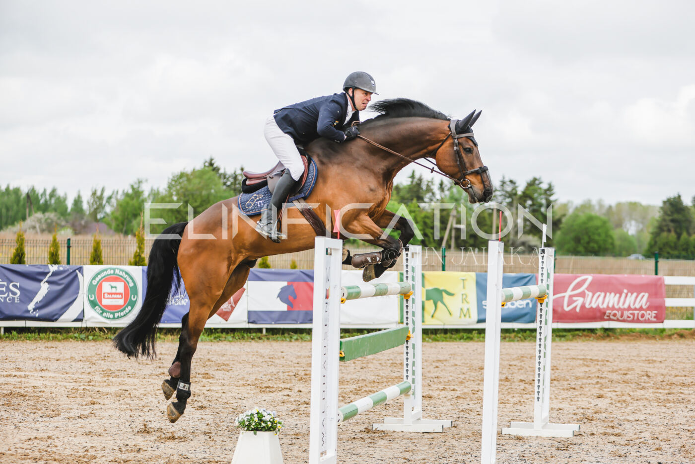Gramina_Kevad_2026_130_005