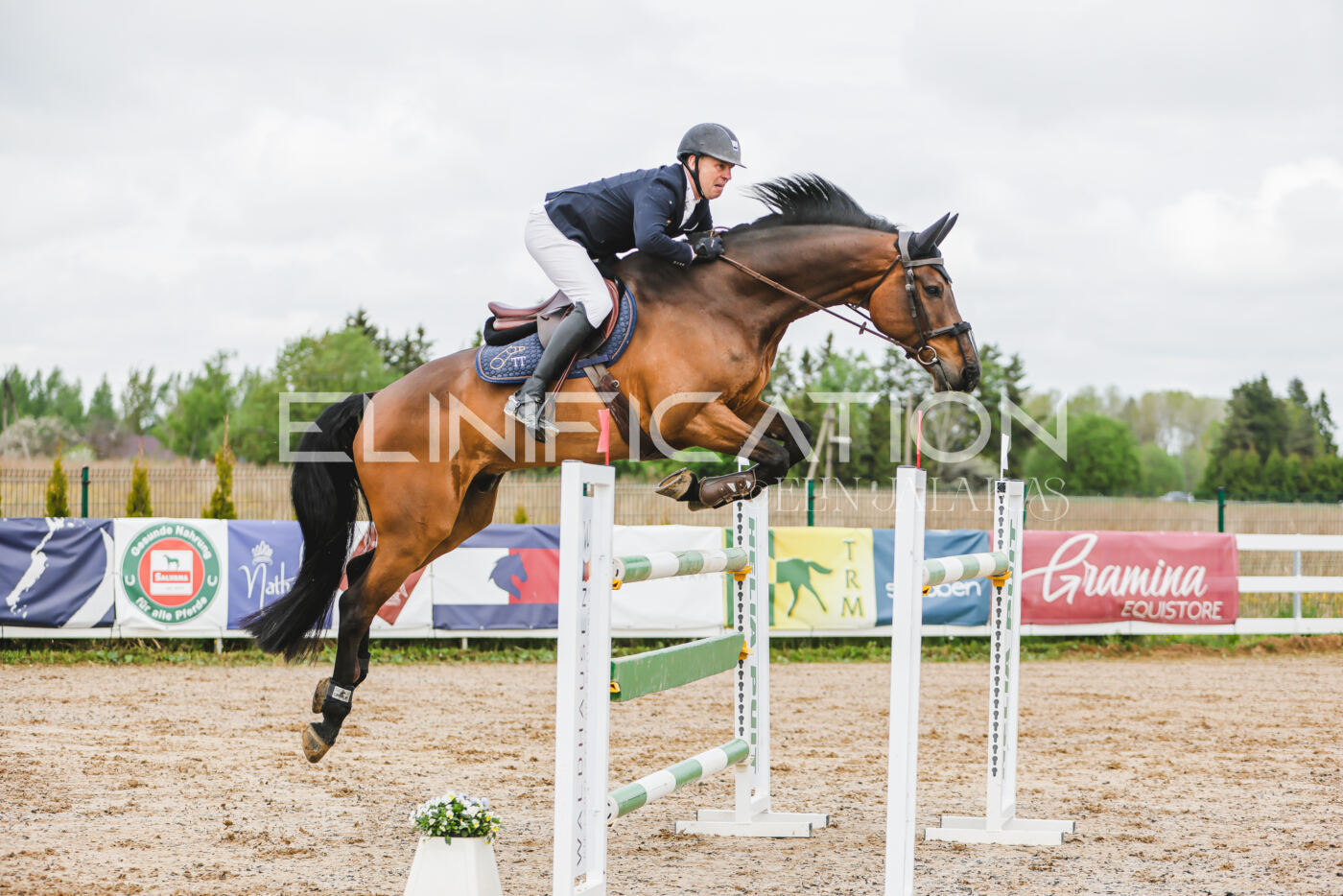 Gramina_Kevad_2026_130_006