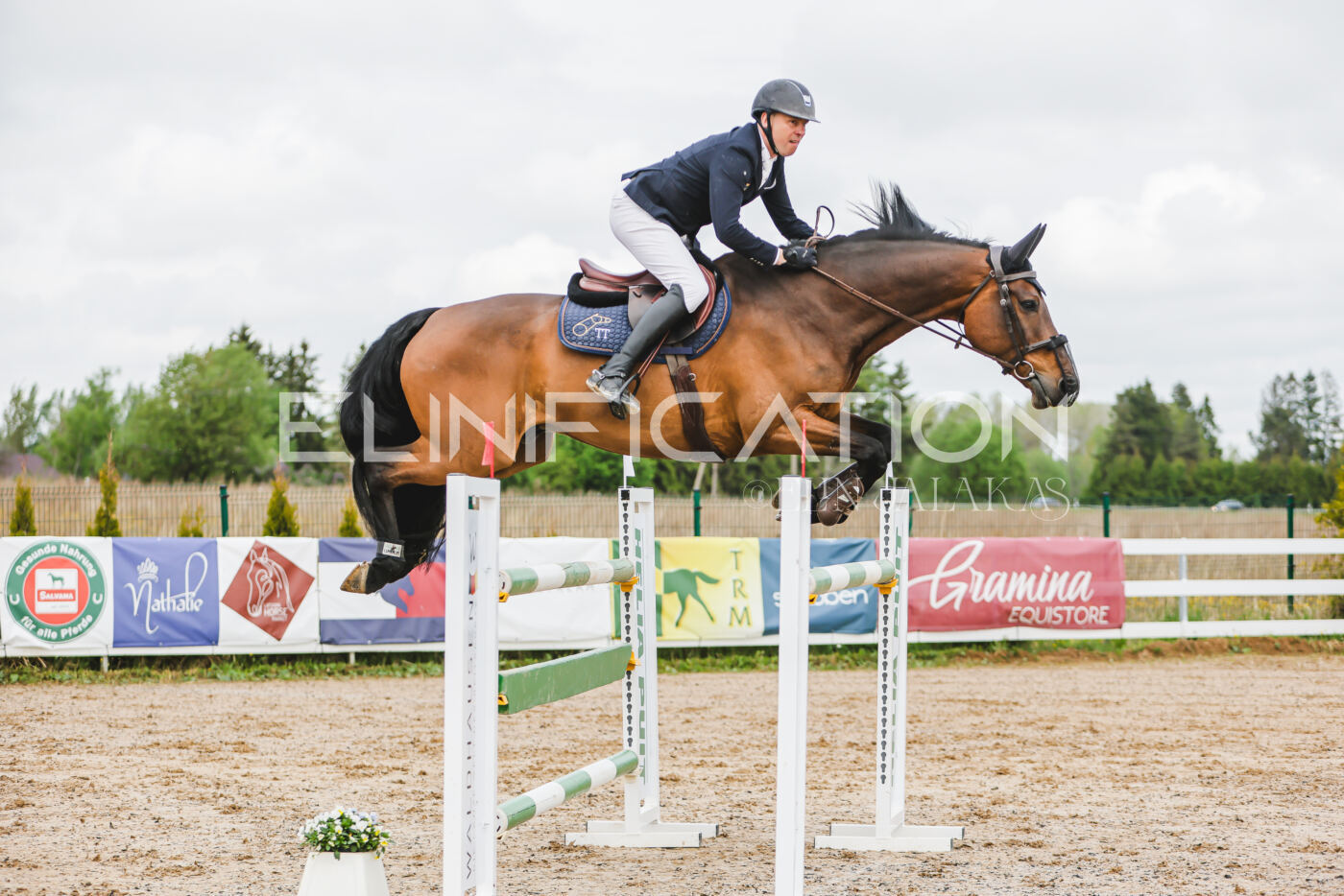 Gramina_Kevad_2026_130_009