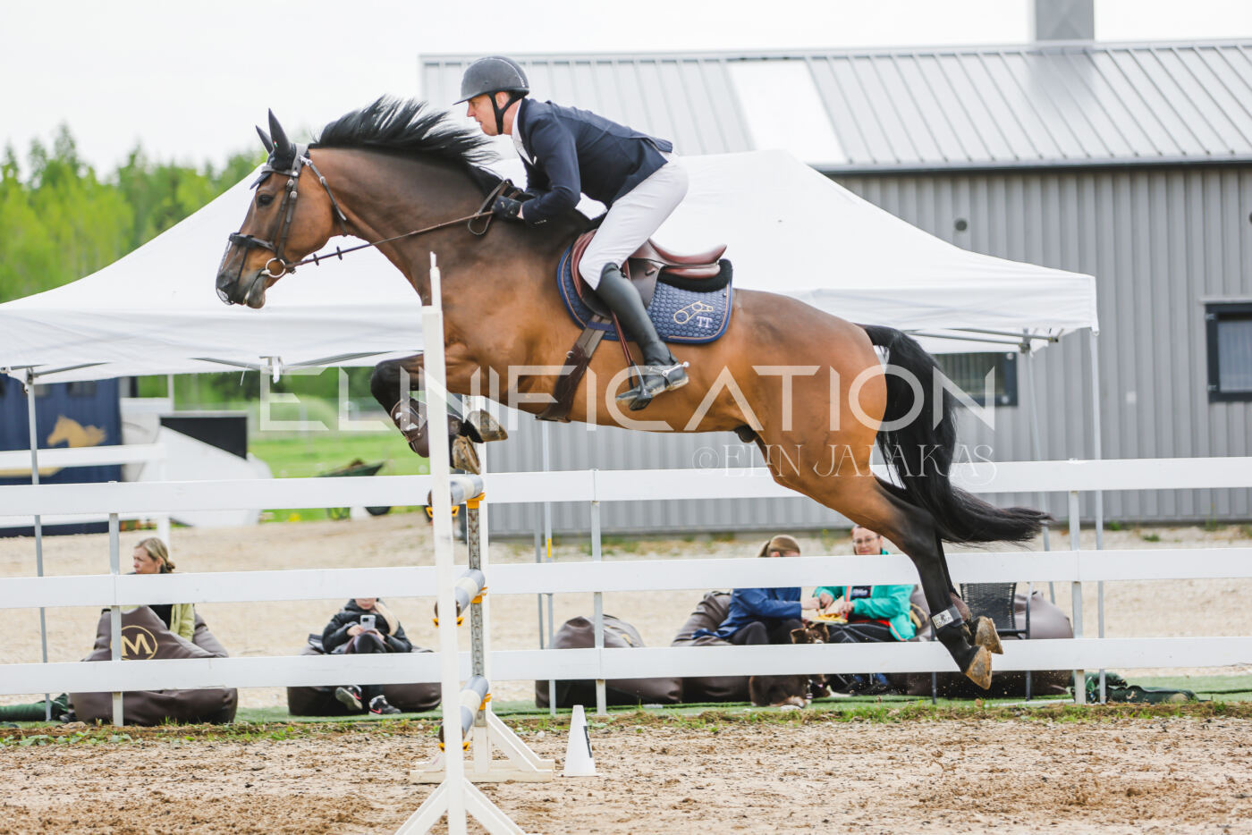 Gramina_Kevad_2026_130_018