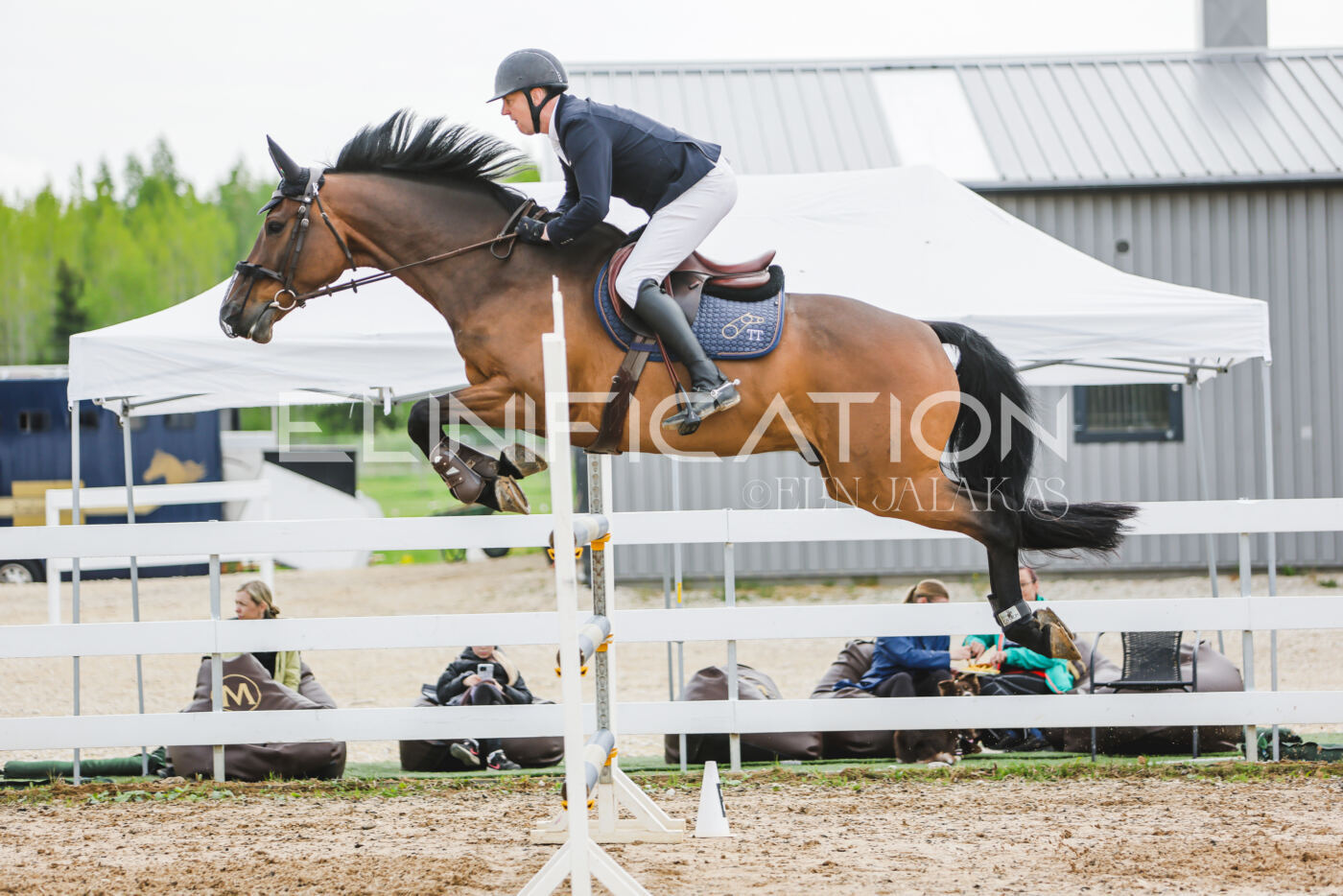 Gramina_Kevad_2026_130_019