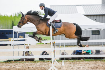 Gramina_Kevad_2026_130_020