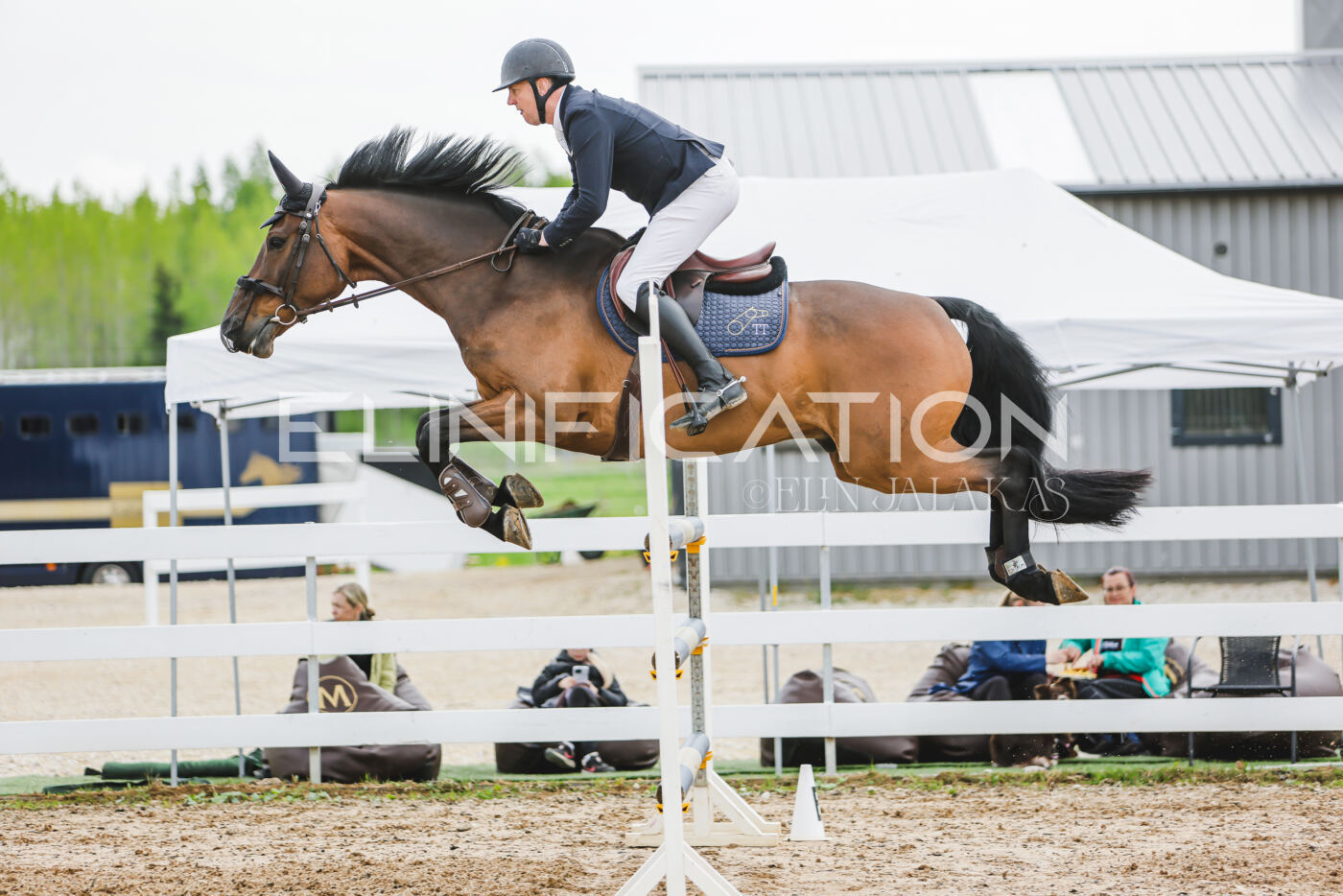 Gramina_Kevad_2026_130_020