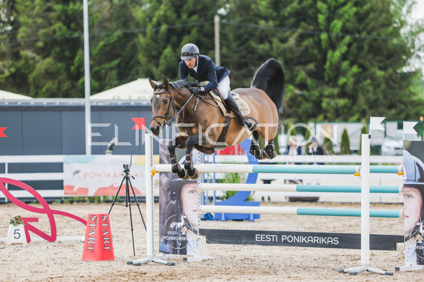 Gramina_Kevad_2026_130_023