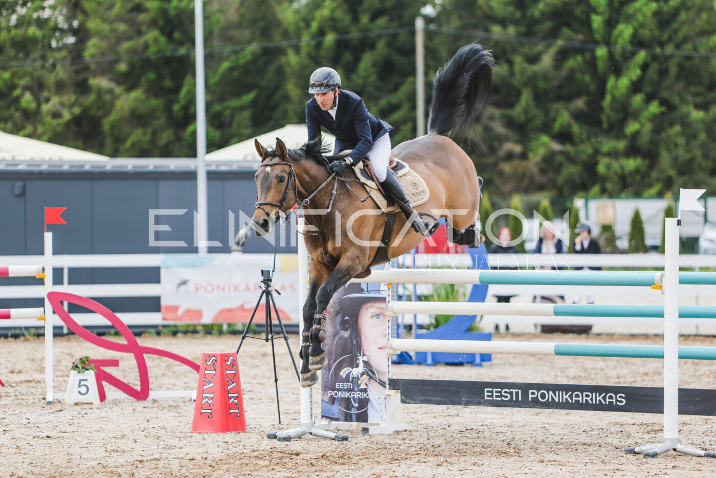 Gramina_Kevad_2026_130_025