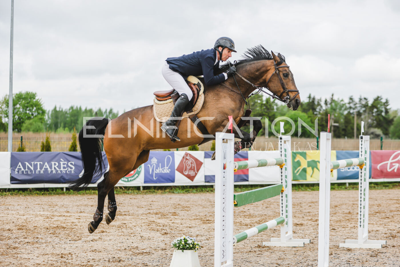 Gramina_Kevad_2026_130_026