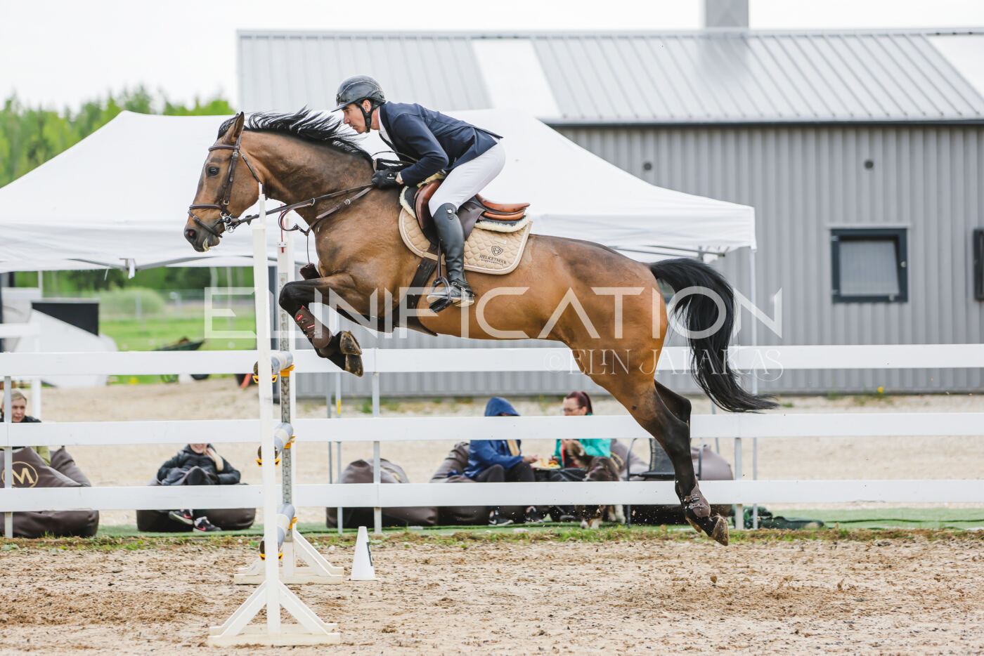 Gramina_Kevad_2026_130_037