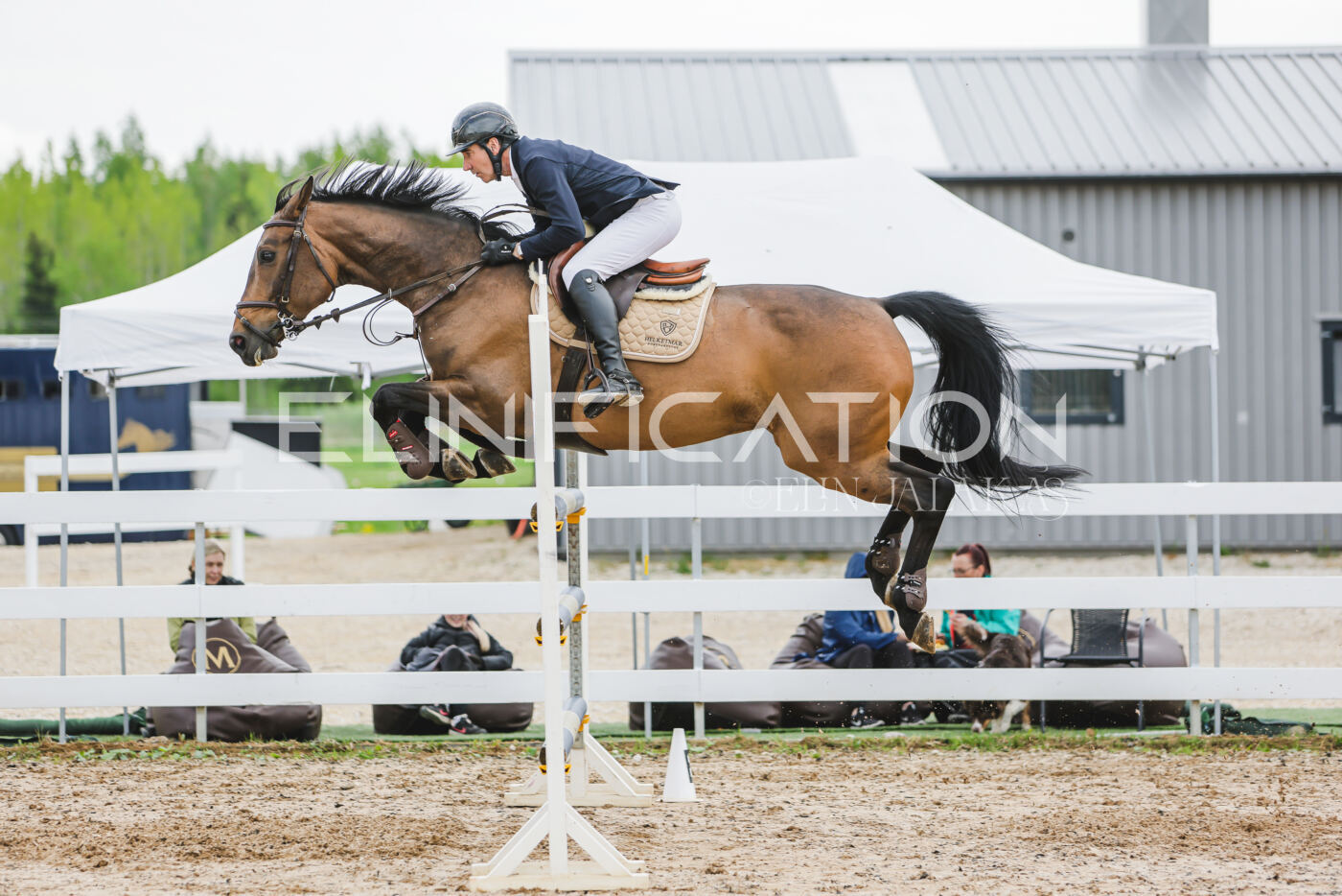 Gramina_Kevad_2026_130_039