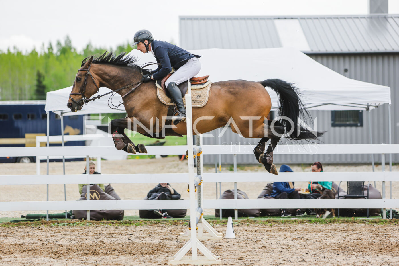 Gramina_Kevad_2026_130_040