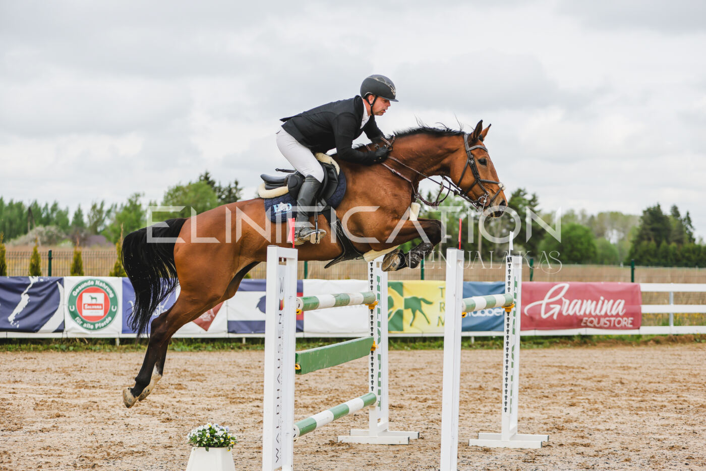 Gramina_Kevad_2026_130_042