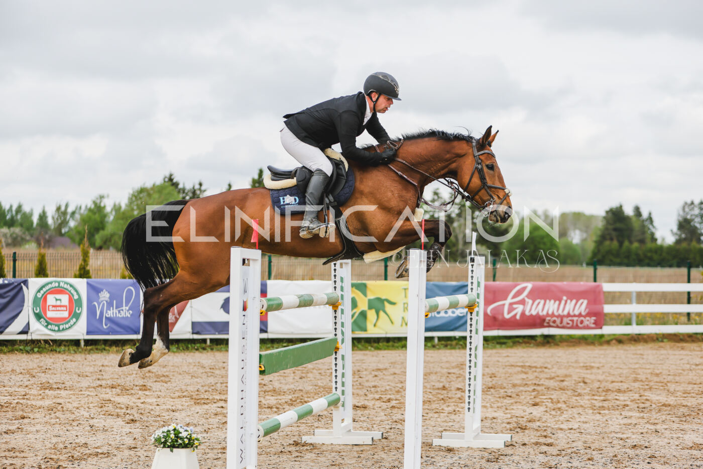 Gramina_Kevad_2026_130_043