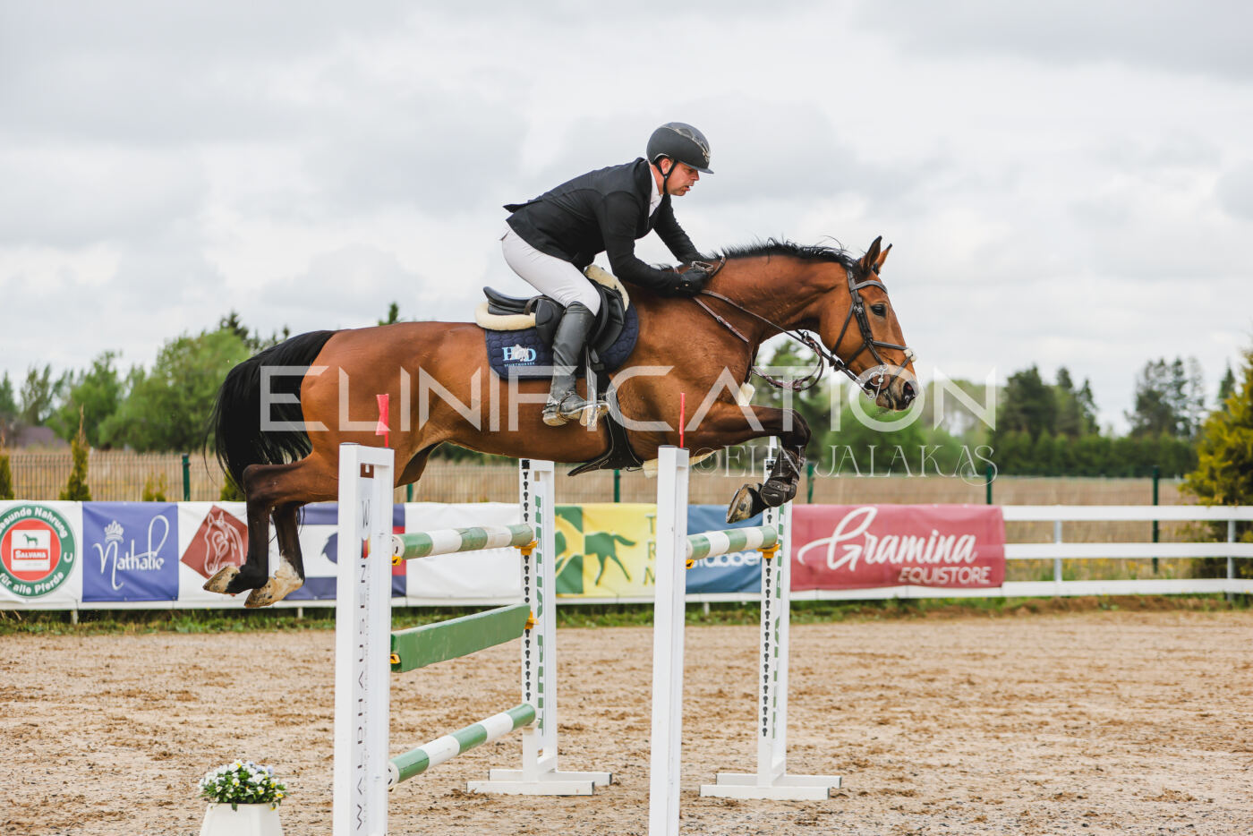 Gramina_Kevad_2026_130_044