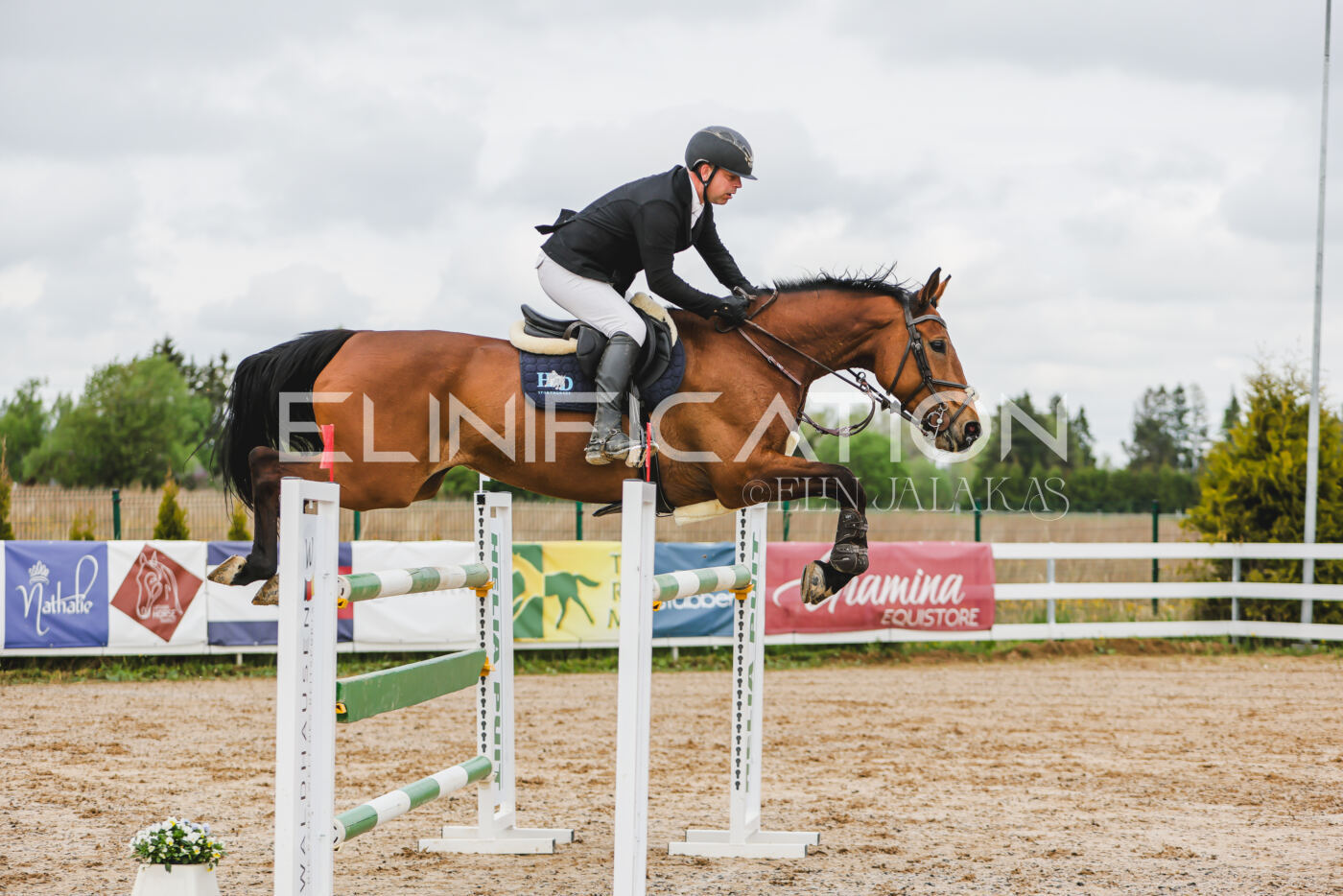 Gramina_Kevad_2026_130_045