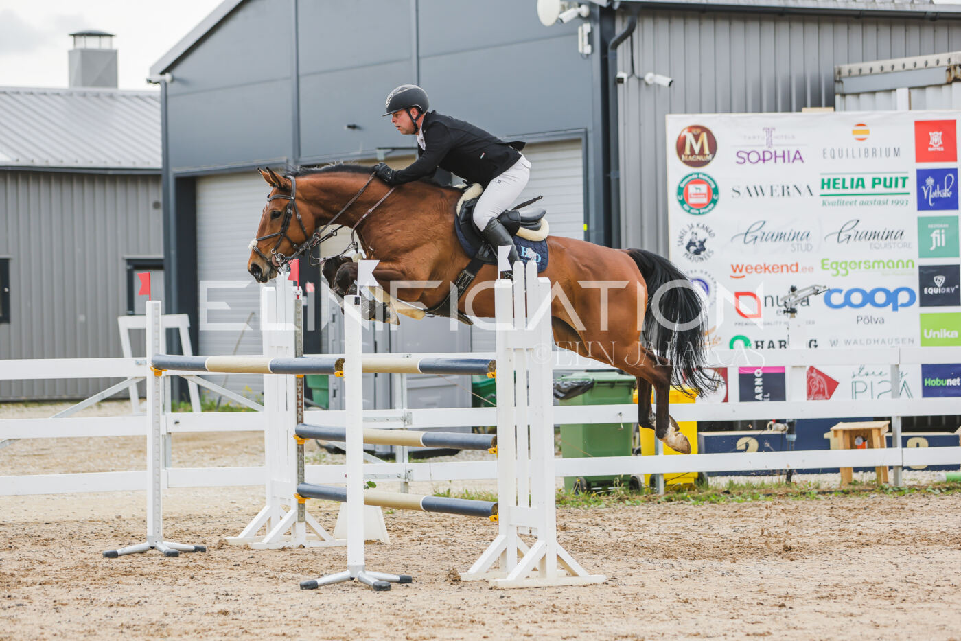 Gramina_Kevad_2026_130_046