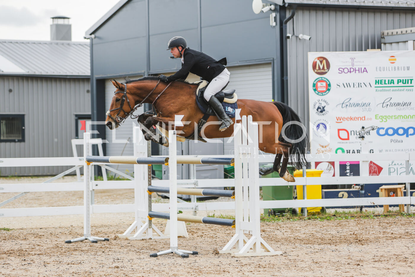 Gramina_Kevad_2026_130_047