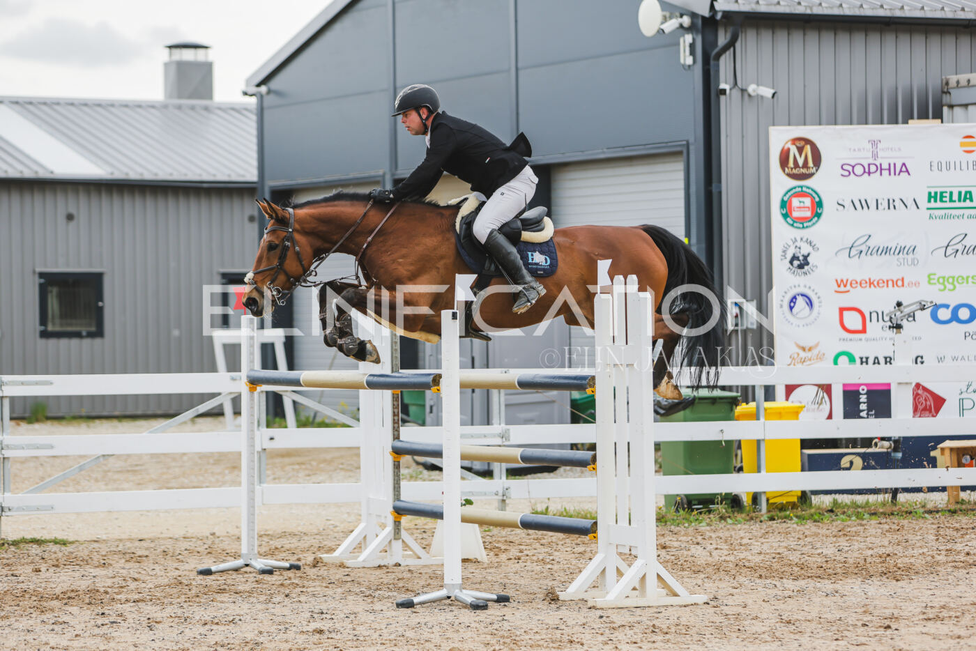 Gramina_Kevad_2026_130_048