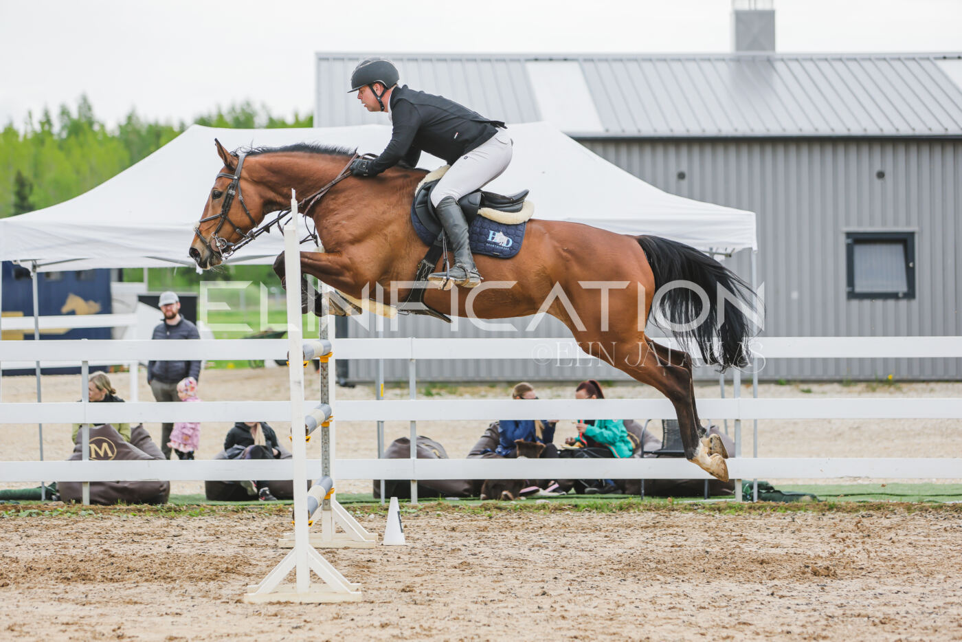 Gramina_Kevad_2026_130_049