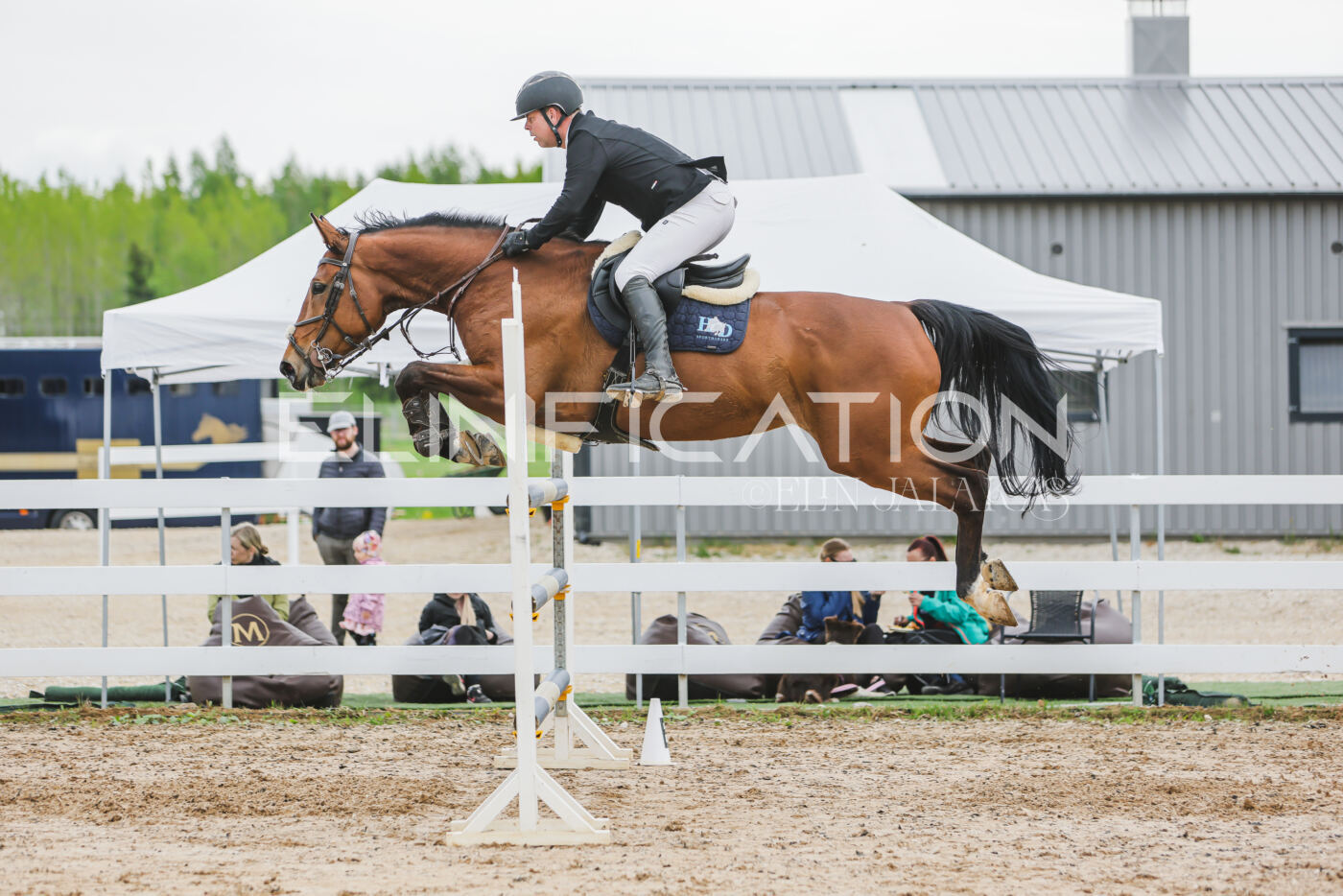 Gramina_Kevad_2026_130_050