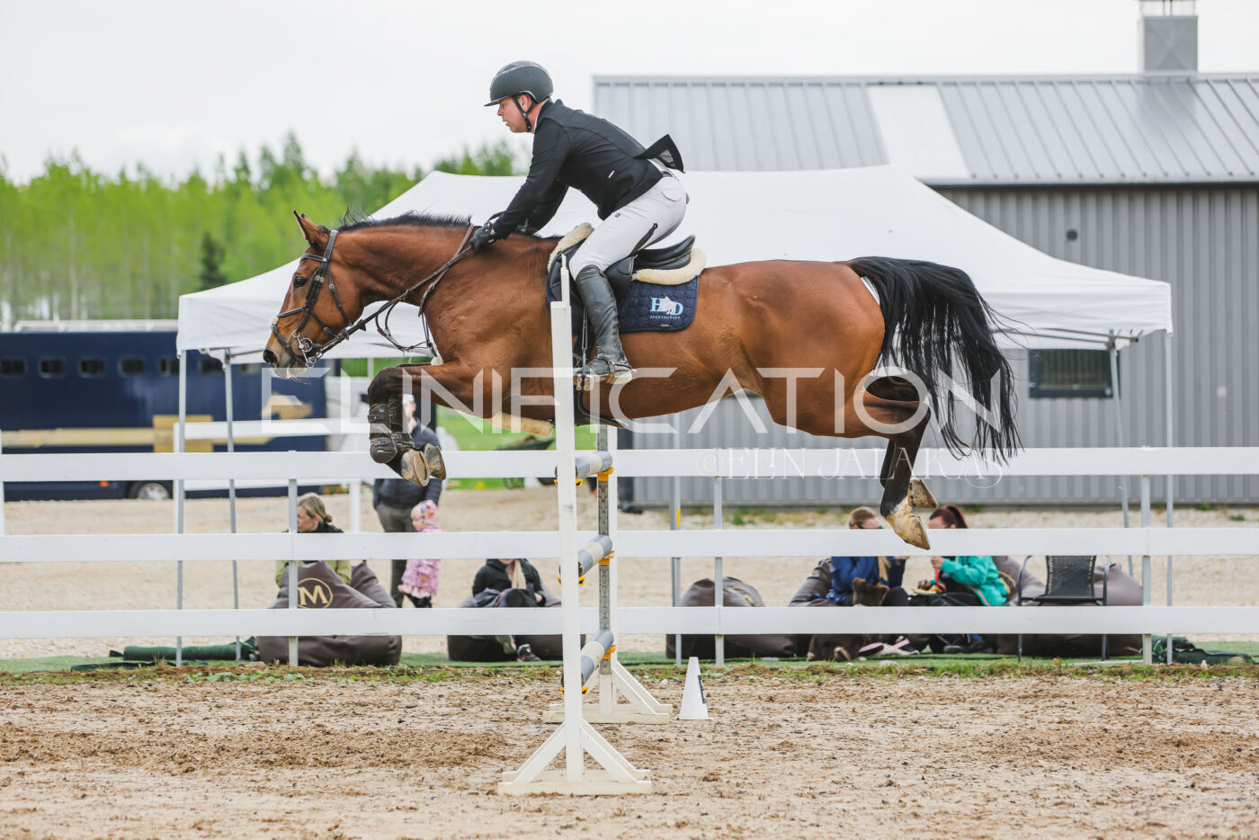 Gramina_Kevad_2026_130_051
