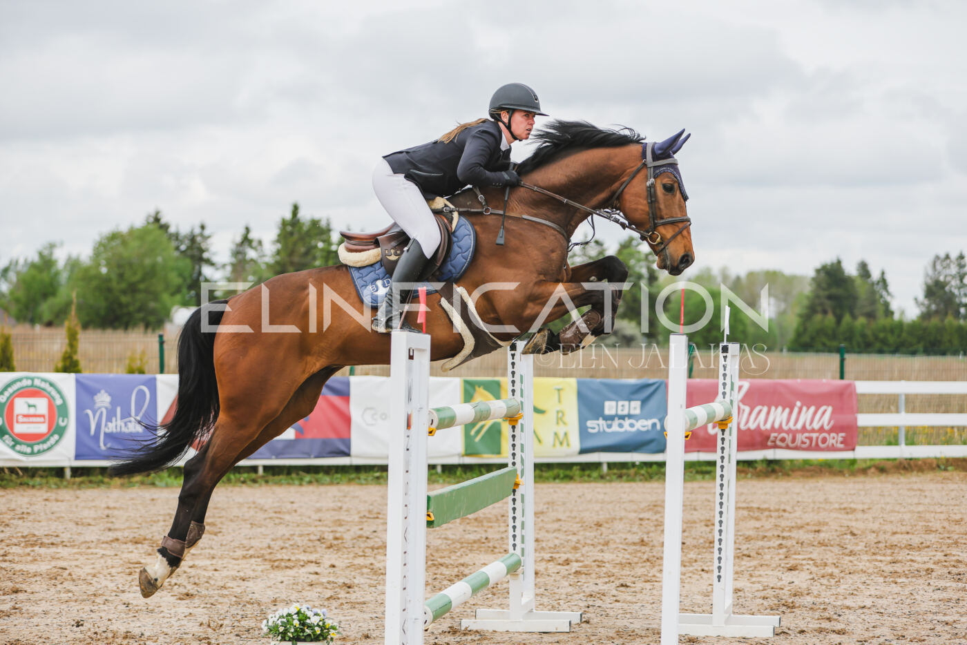 Gramina_Kevad_2026_130_055