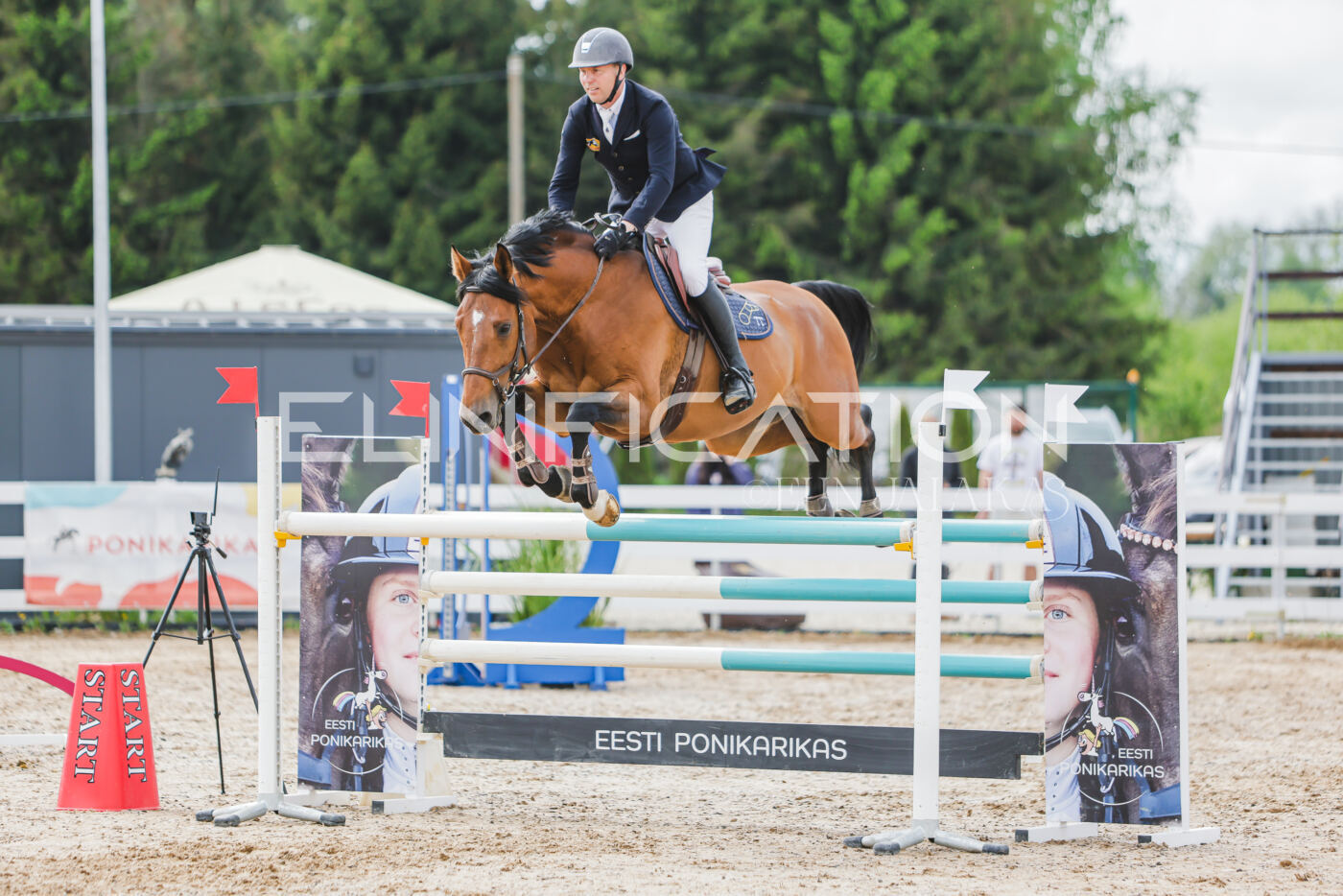 Gramina_Kevad_2026_130_066