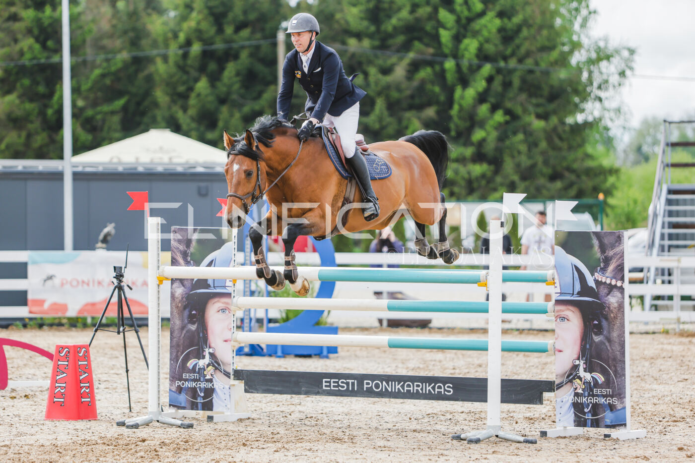 Gramina_Kevad_2026_130_067