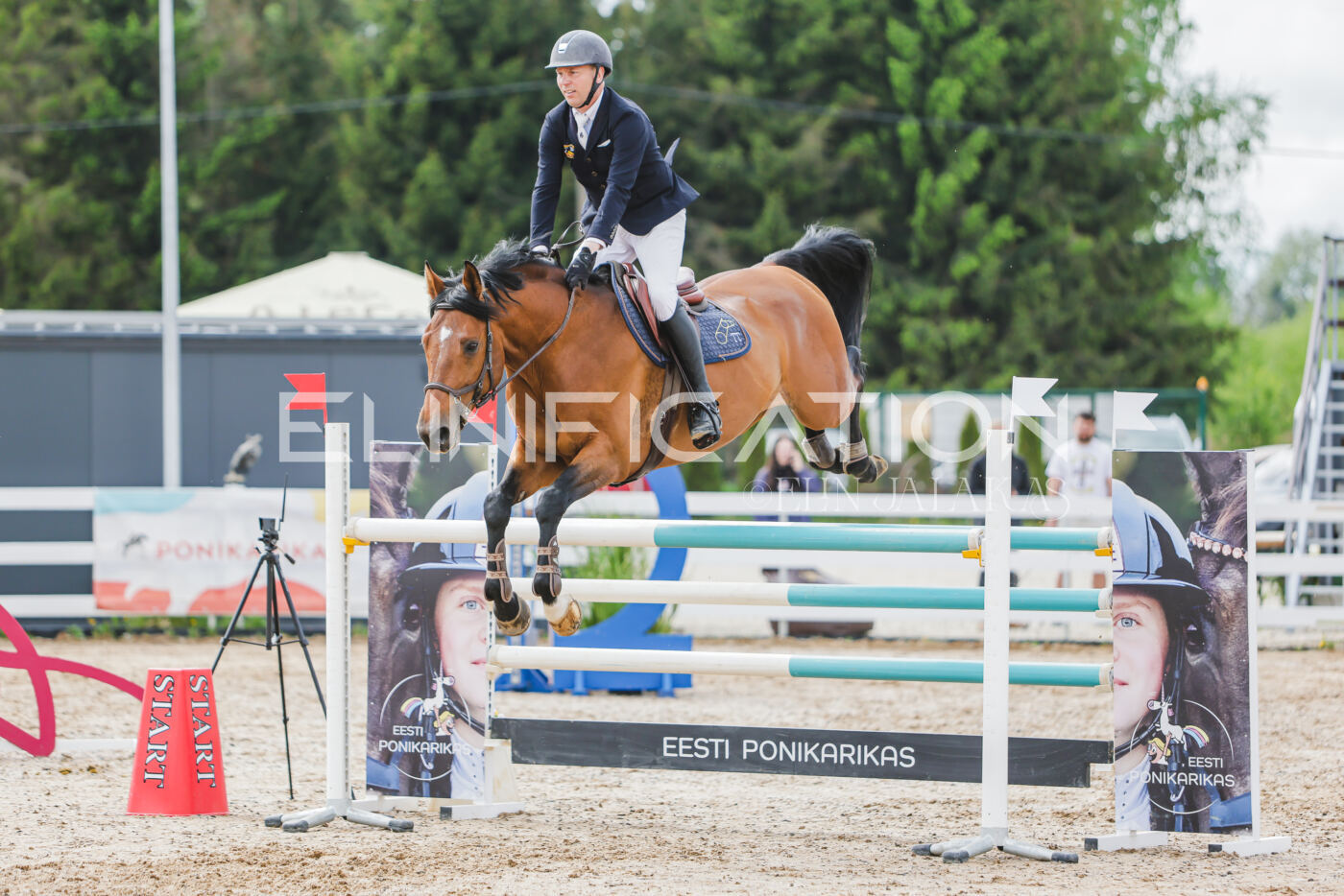 Gramina_Kevad_2026_130_068