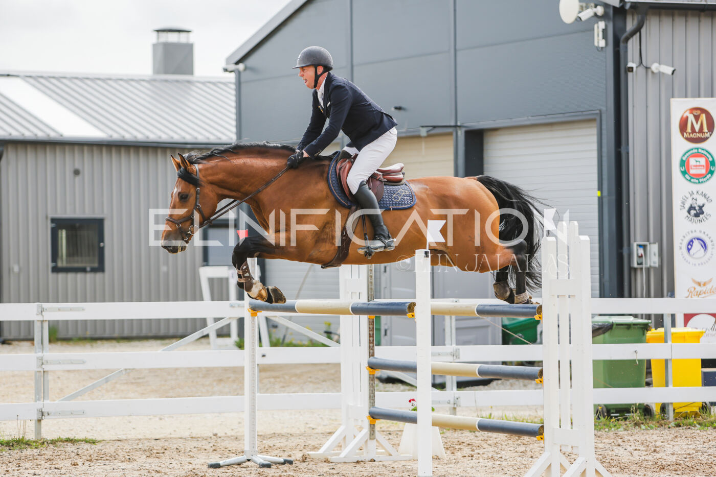 Gramina_Kevad_2026_130_077