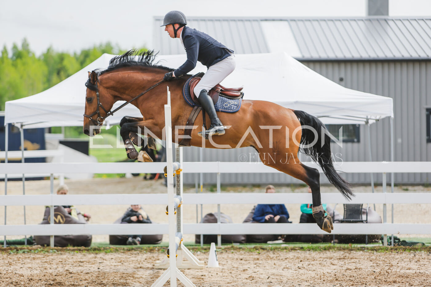 Gramina_Kevad_2026_130_080