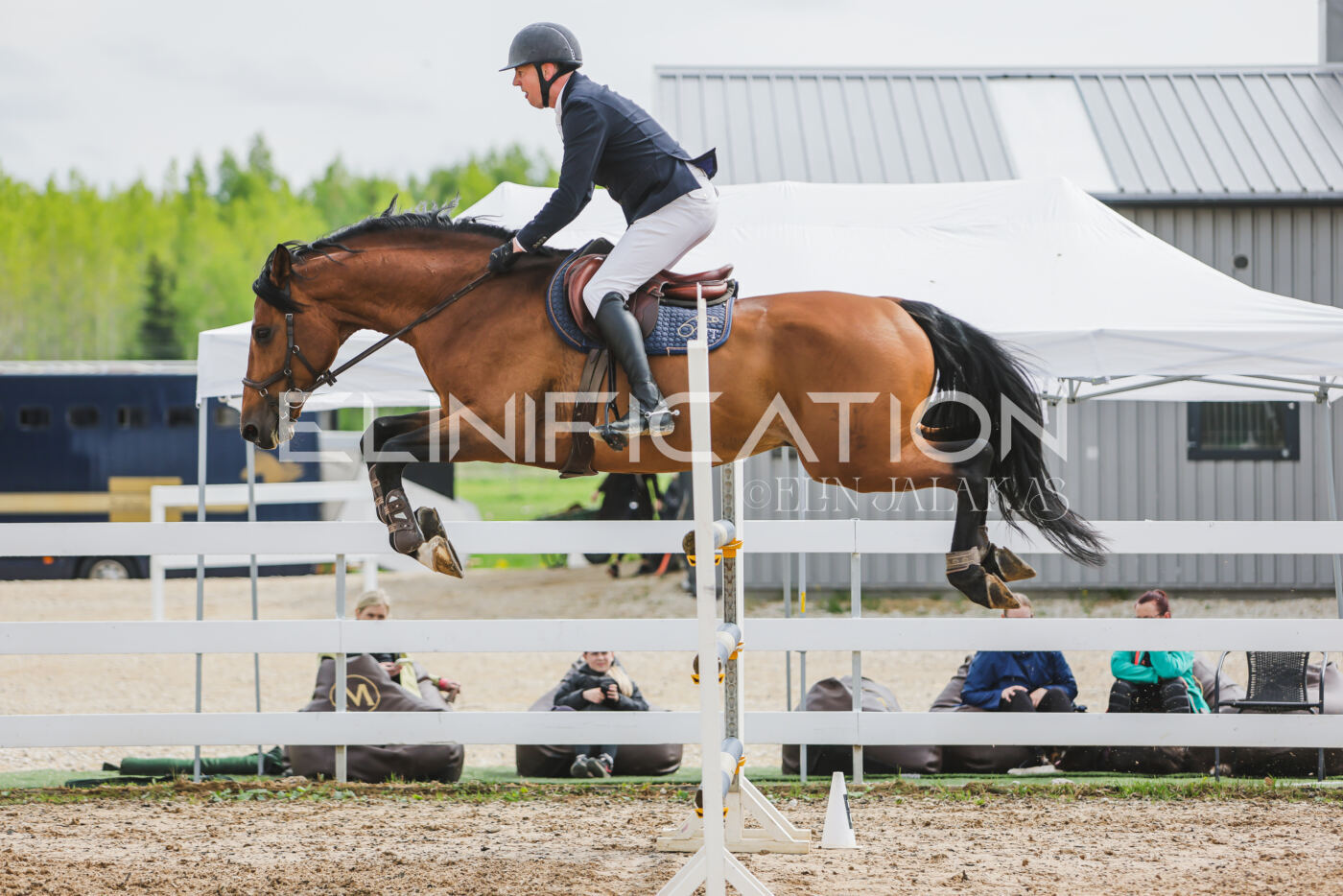 Gramina_Kevad_2026_130_082