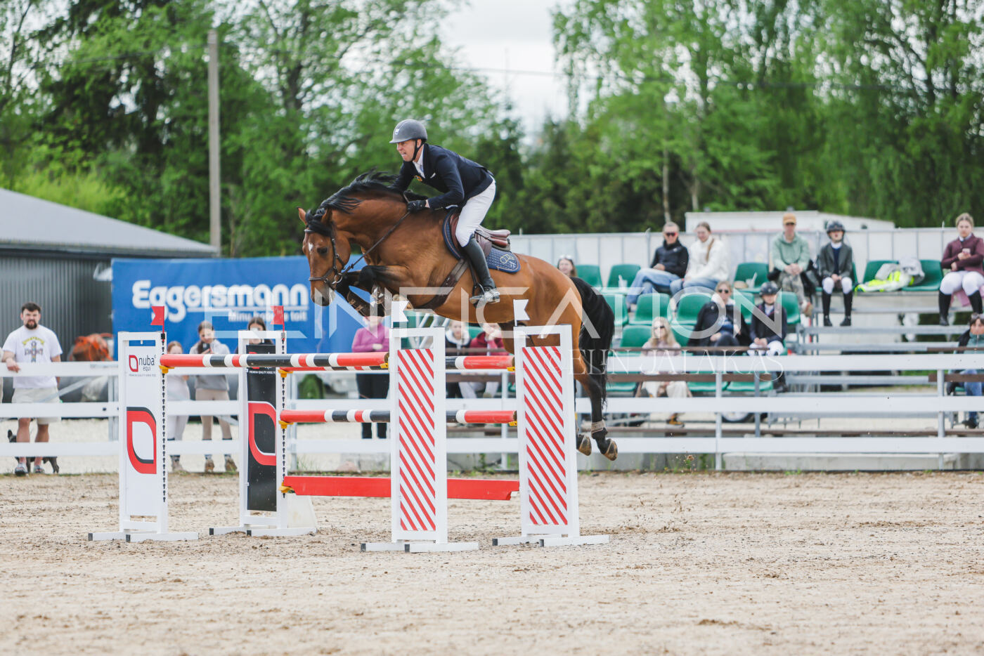 Gramina_Kevad_2026_140_001