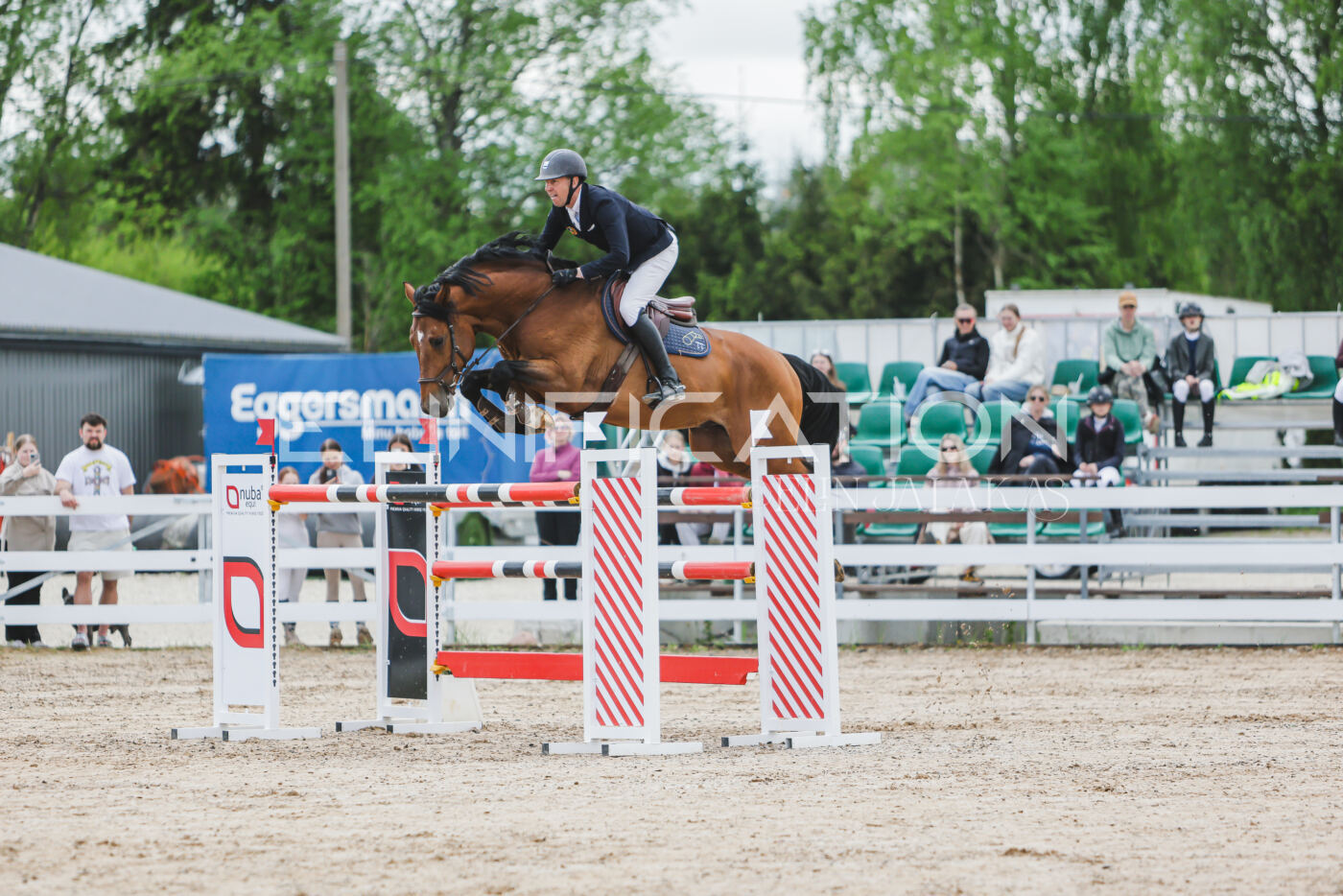 Gramina_Kevad_2026_140_002